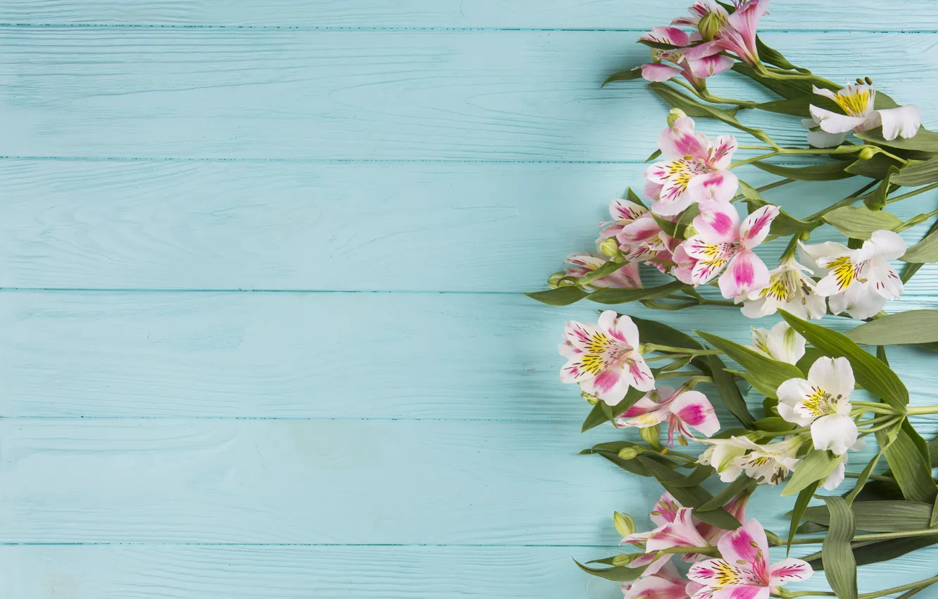 Photo wallpaper flowers, background, blue, Pink, wood, flowers
