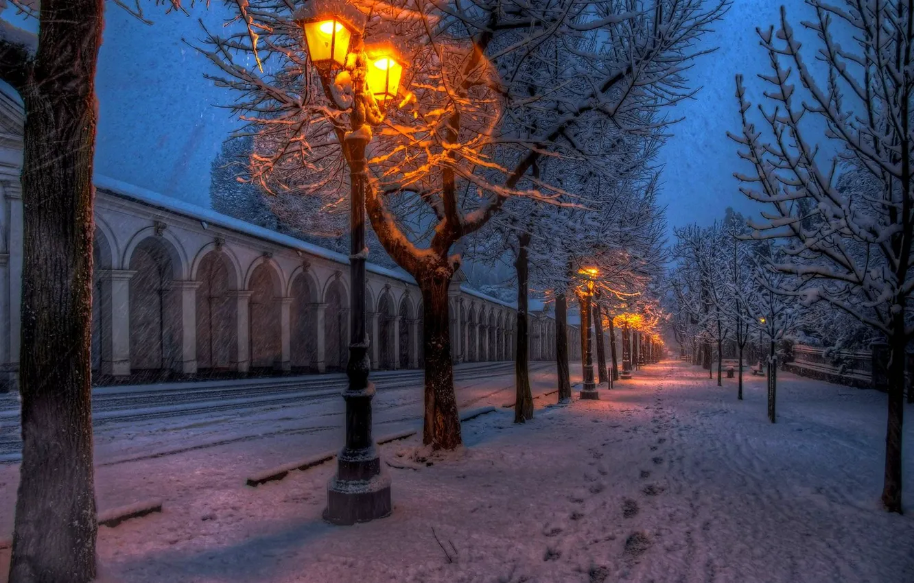 Photo wallpaper winter, road, snow, trees, nature, lights, Park, the way