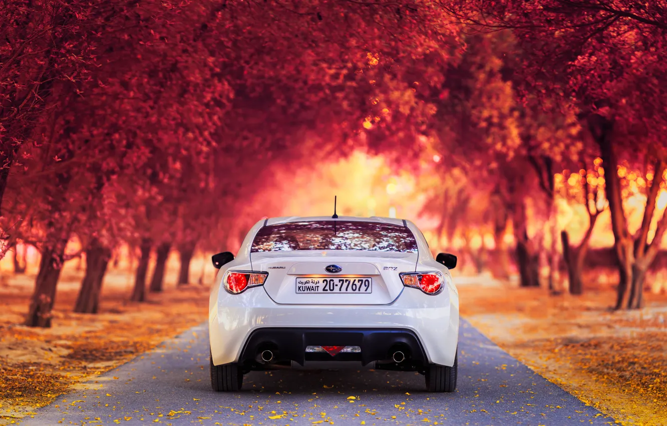 Photo wallpaper road, machine, autumn, Park, white, Subaru, SUBARU BRZ