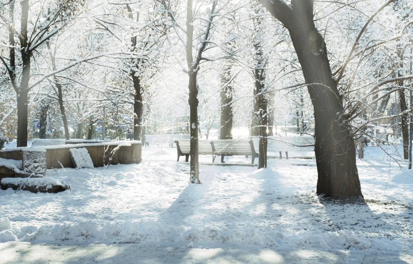 Photo wallpaper winter, snow, Park, bench
