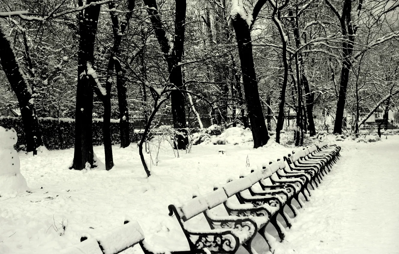 Photo wallpaper Winter, Snow, Park, Winter, Frost, Park, Snow, Benches