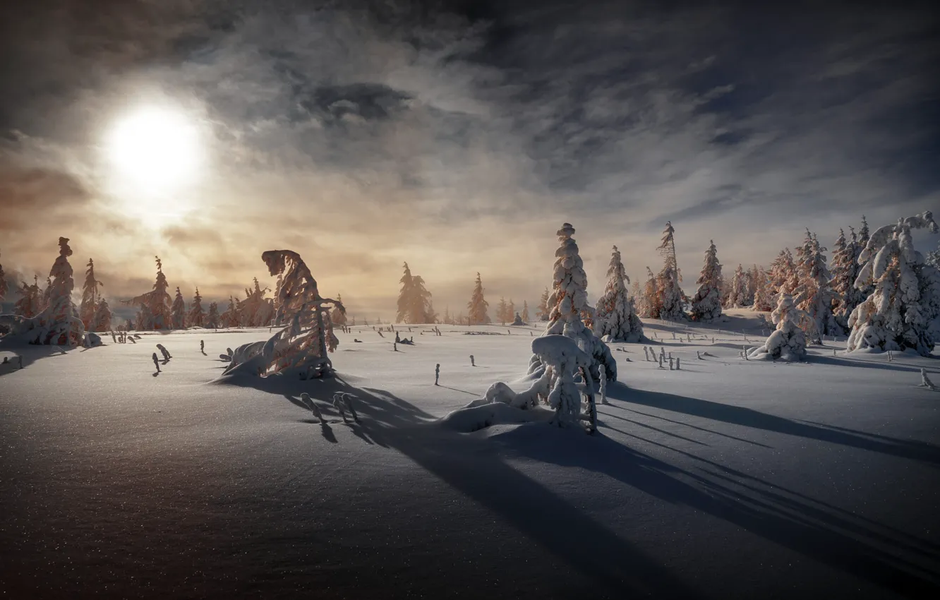 Photo wallpaper winter, field, forest, the sky, the sun, clouds, light, snow