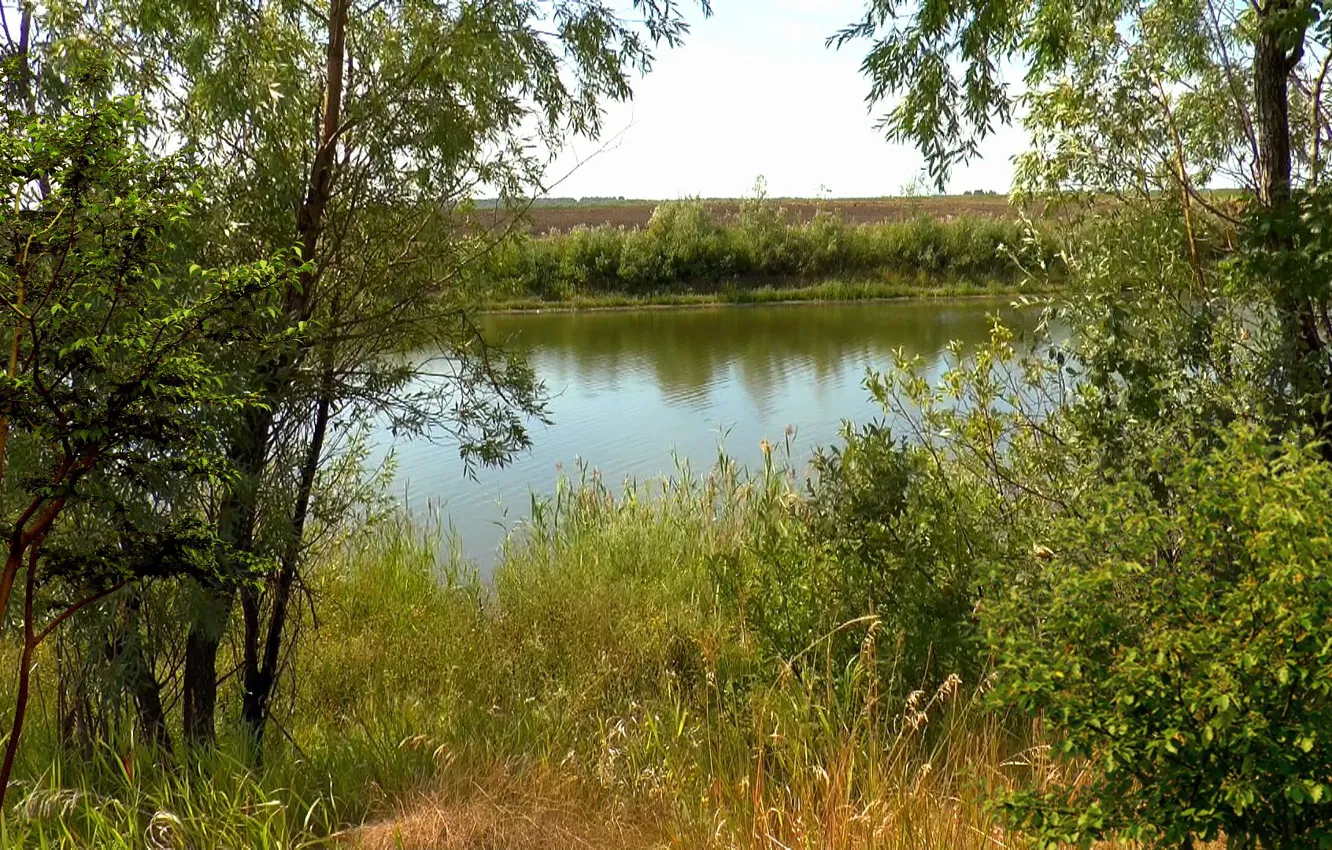 Photo wallpaper summer, nature, August