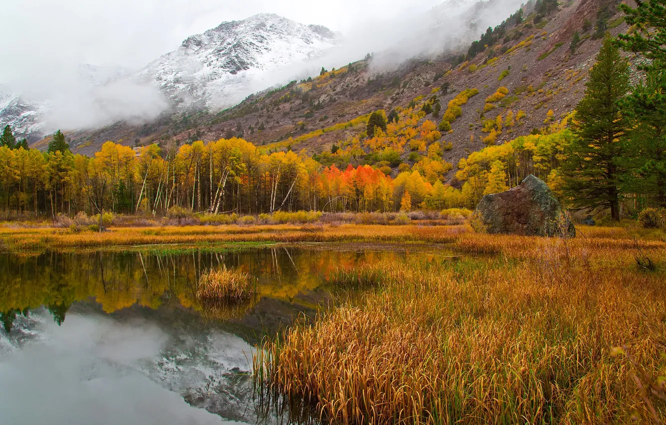 Photo wallpaper autumn, snow, trees, mountains, lake, CA, USA