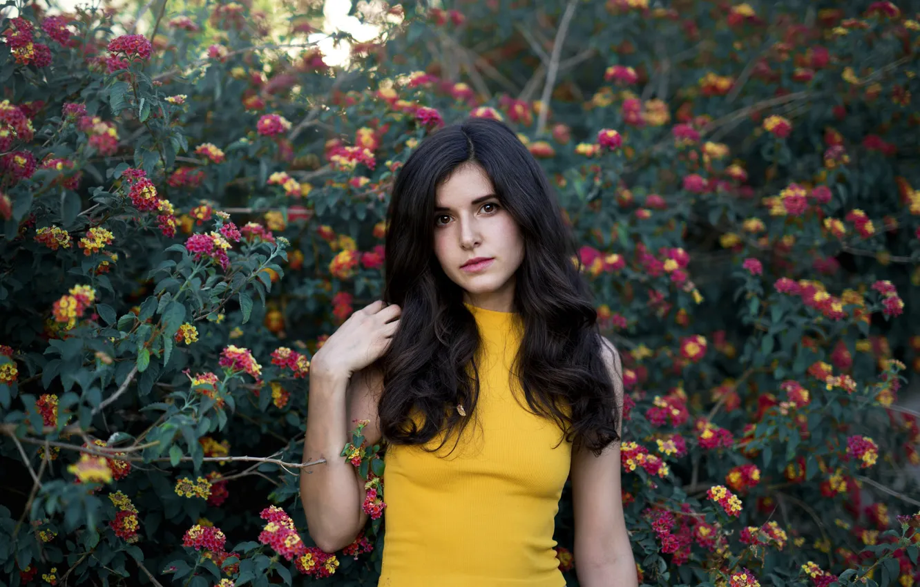 Photo wallpaper flowers, yellow, pose, brunette, top, the bushes, curls