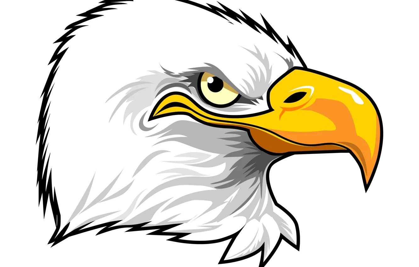Photo wallpaper feathers, eagle, beak, penetrating gaze