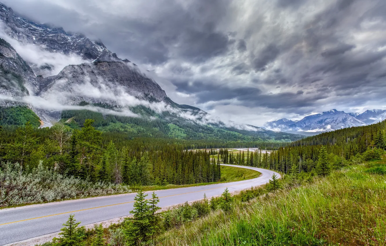 Photo wallpaper road, forest, mountains, spruce