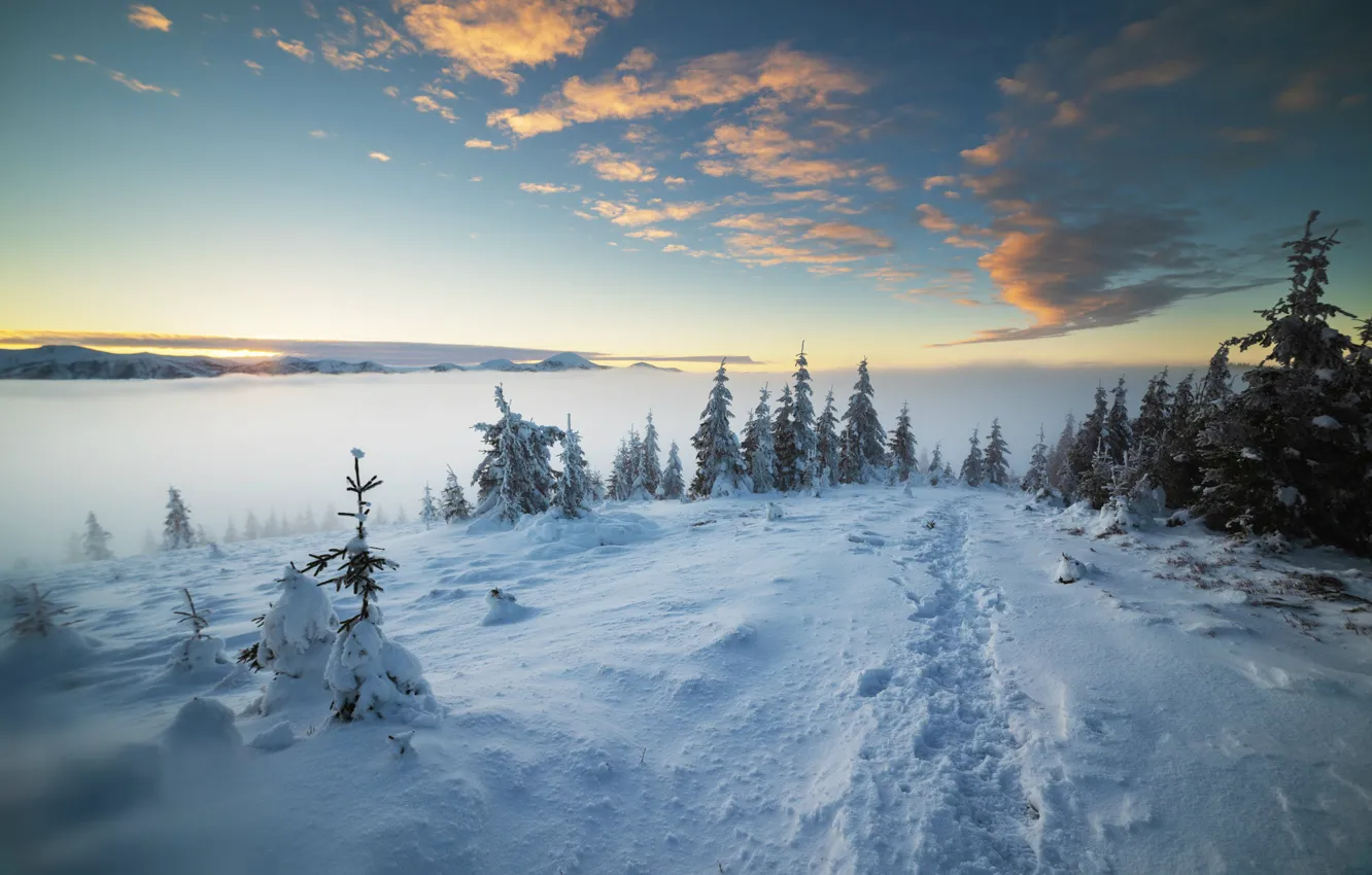 Photo wallpaper winter, the sky, snow, mountains, tree, Misha Reme