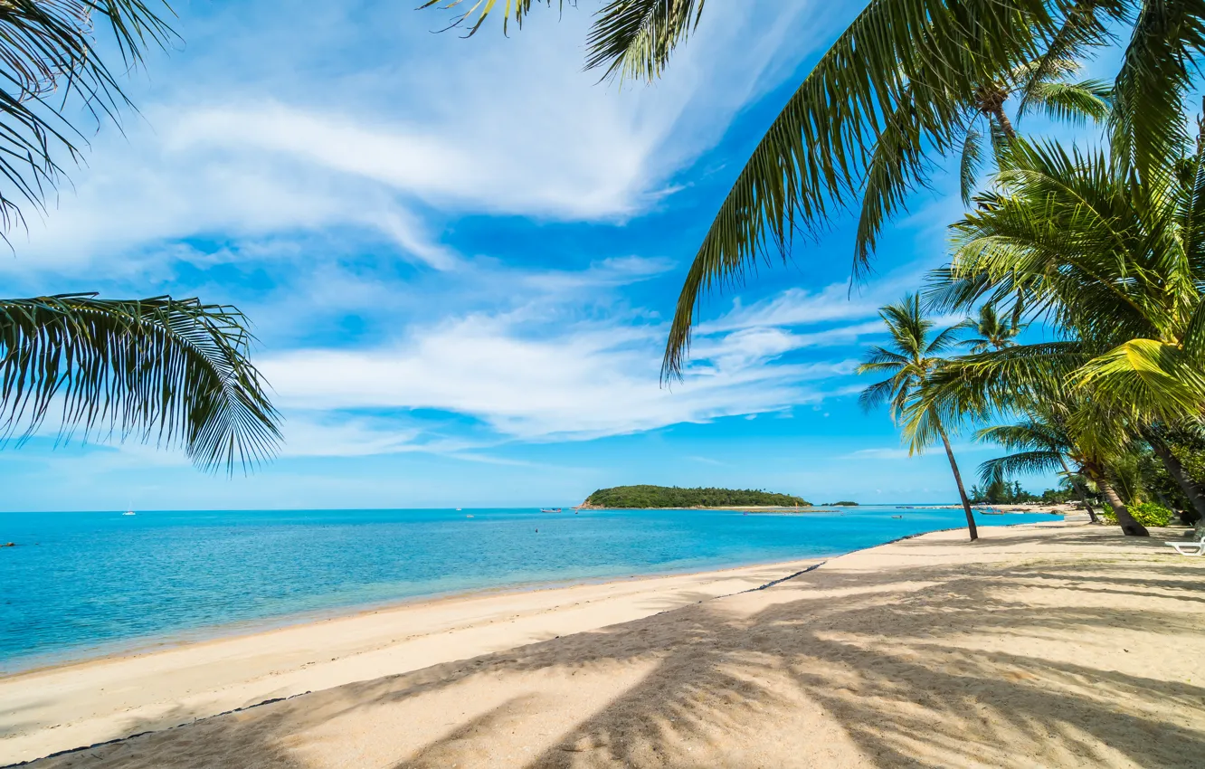 Photo wallpaper sand, sea, beach, summer, the sky, the sun, palm trees, shore