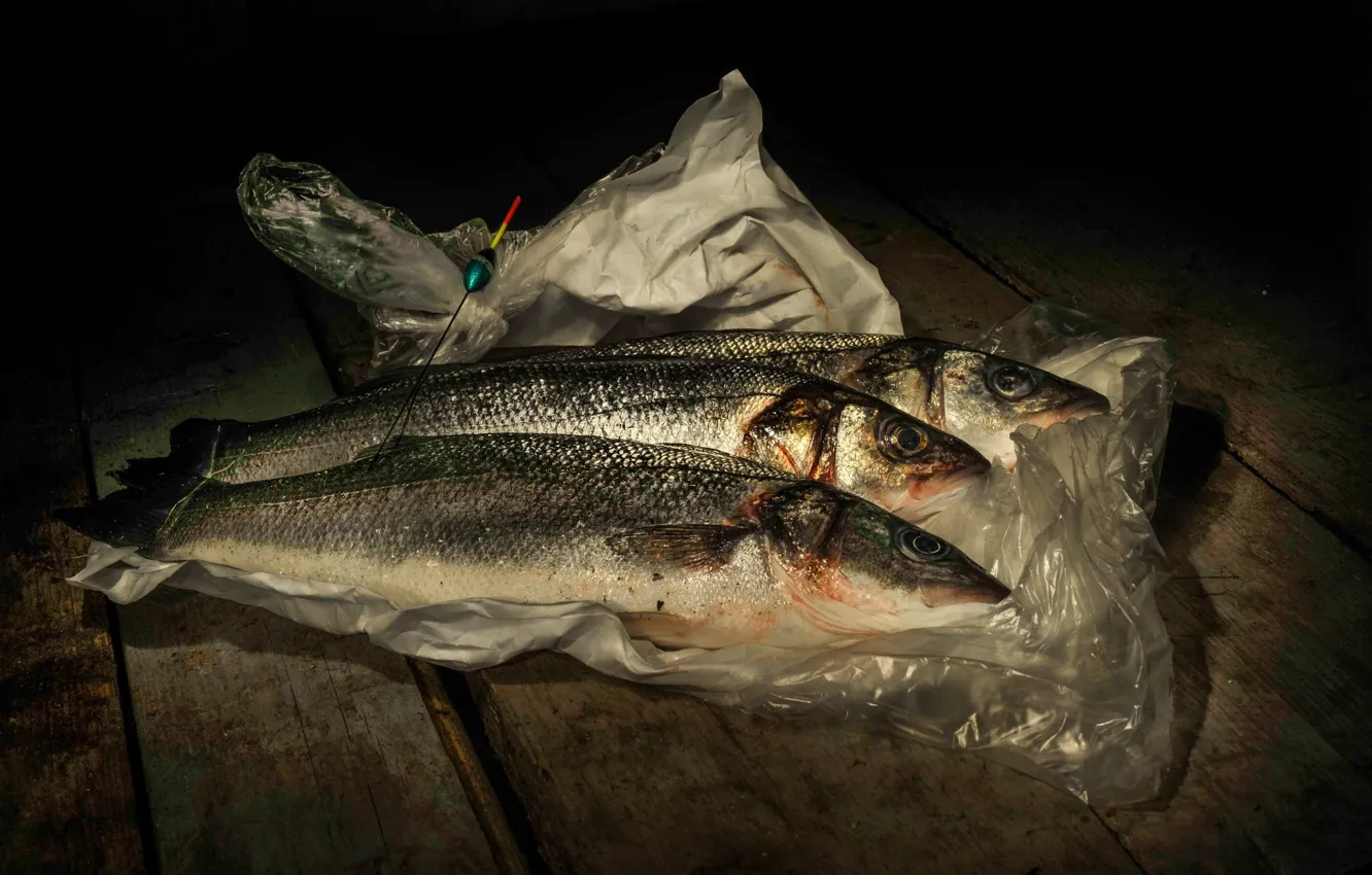 Photo wallpaper fish, package, poplovok