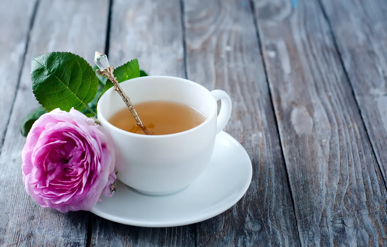 Photo wallpaper rose, rose, flower, pink, cup, tea, Cup of tea