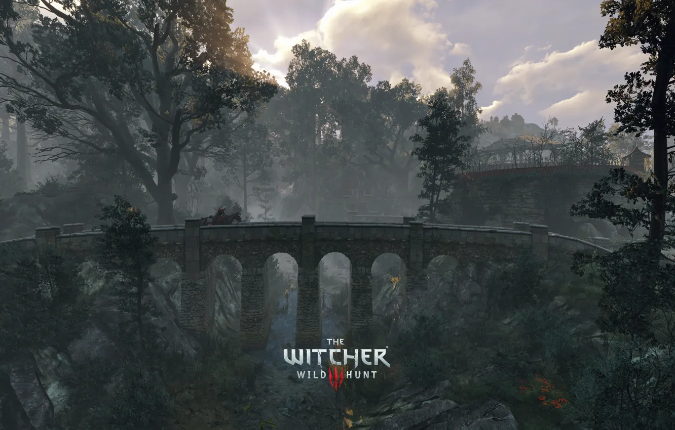Photo wallpaper The Witcher, DLC, CD Projekt RED, The Witcher 3: Wild Hunt, Geralt, The Witcher 3 …