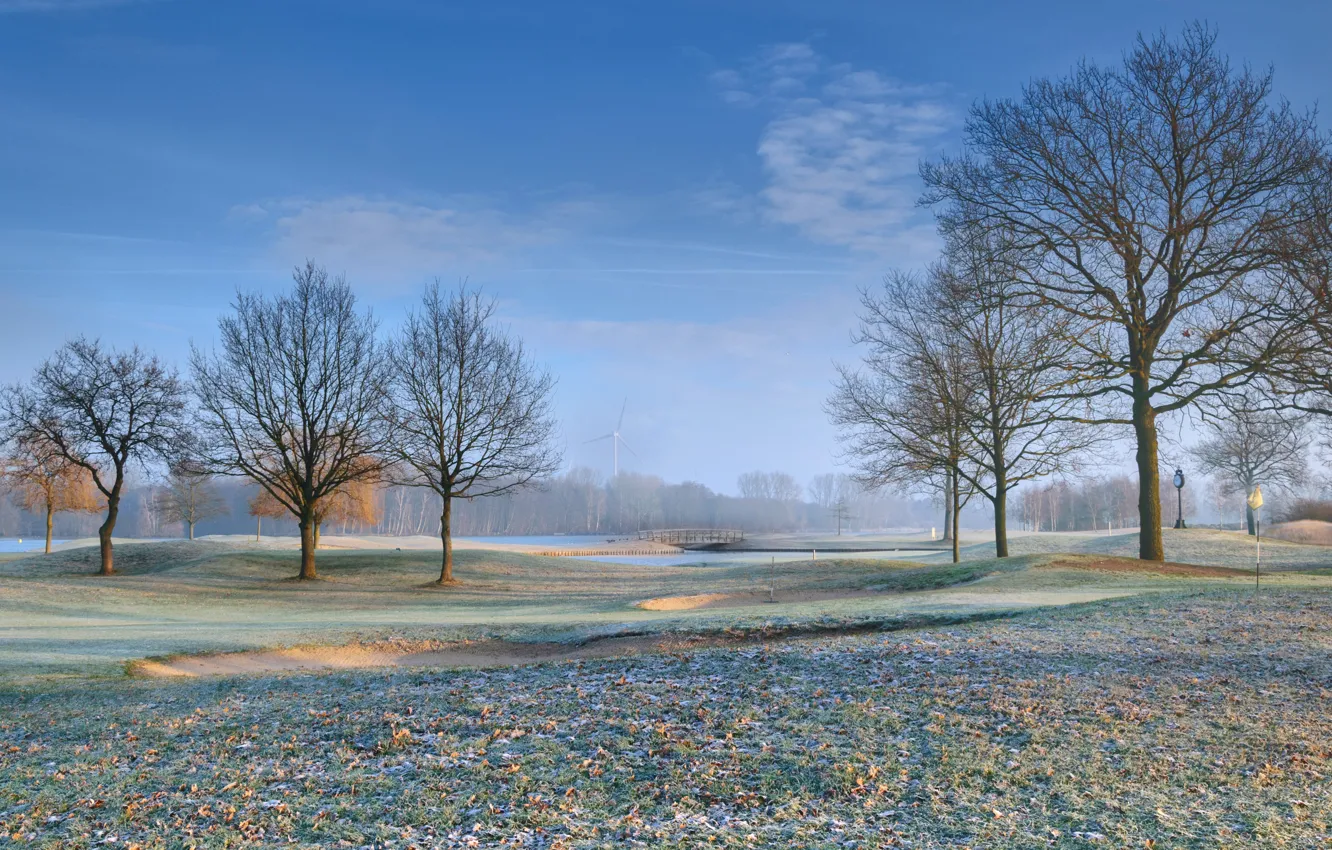 Photo wallpaper frost, field, leaves, trees, golf course
