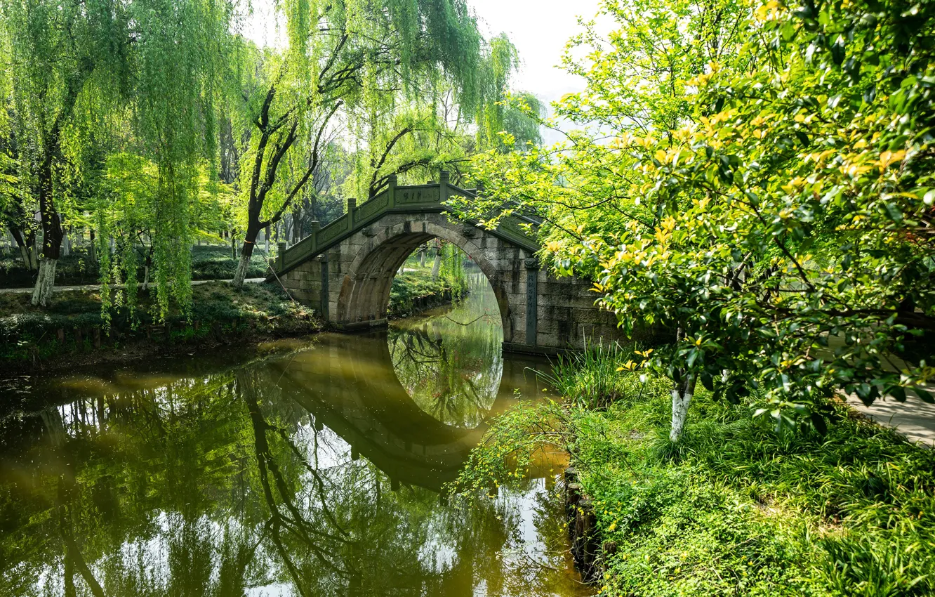 Photo wallpaper greens, grass, the sun, trees, bridge, pond, Park, China