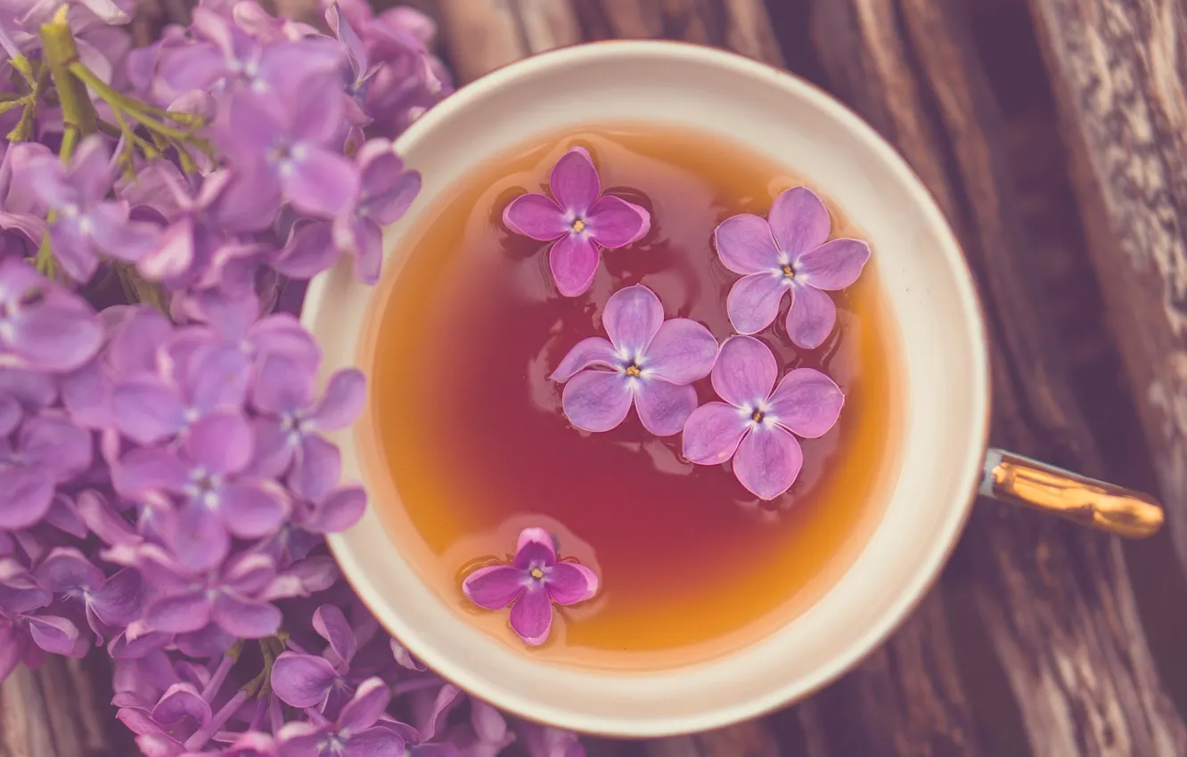 Photo wallpaper purple, flowers, widescreen, Wallpaper, tea, mood, mug, Cup