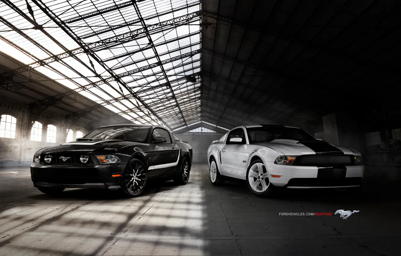 Photo wallpaper mustang, 2010, ford