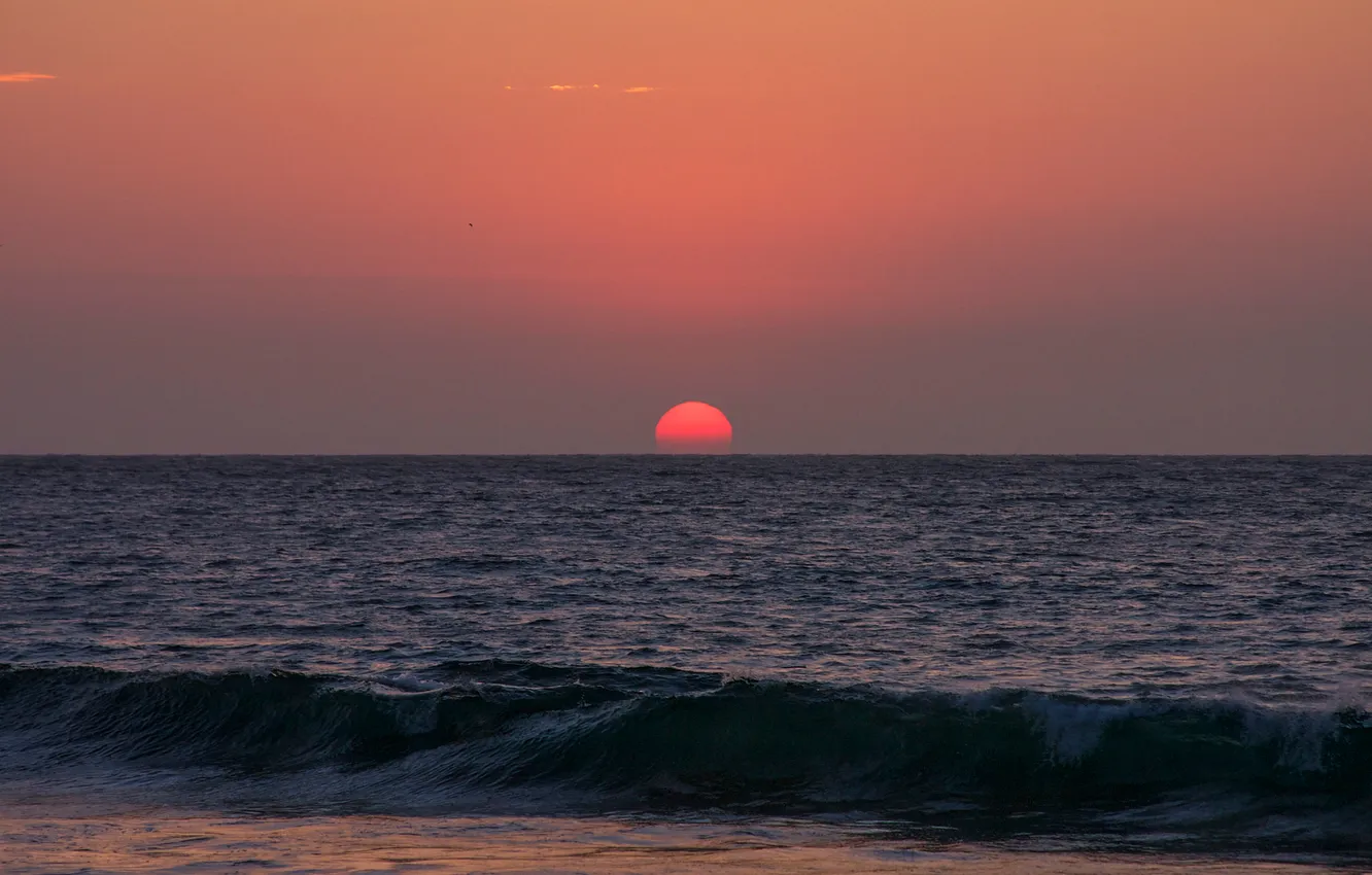 Photo wallpaper sea, the sky, the sun, sunset, wave