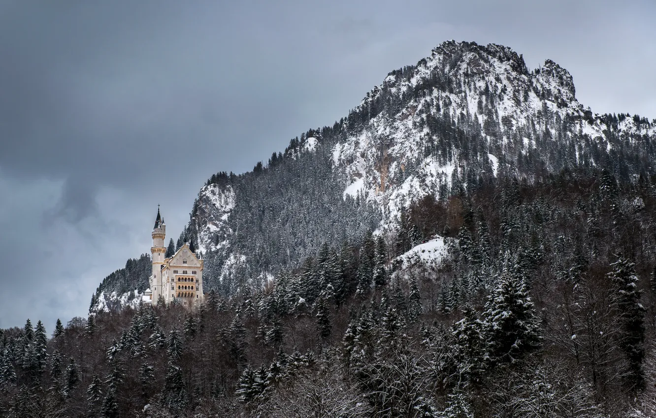 Photo wallpaper winter, forest, mountains, Germany, Bayern, Germany, Bavaria, Neuschwanstein Castle