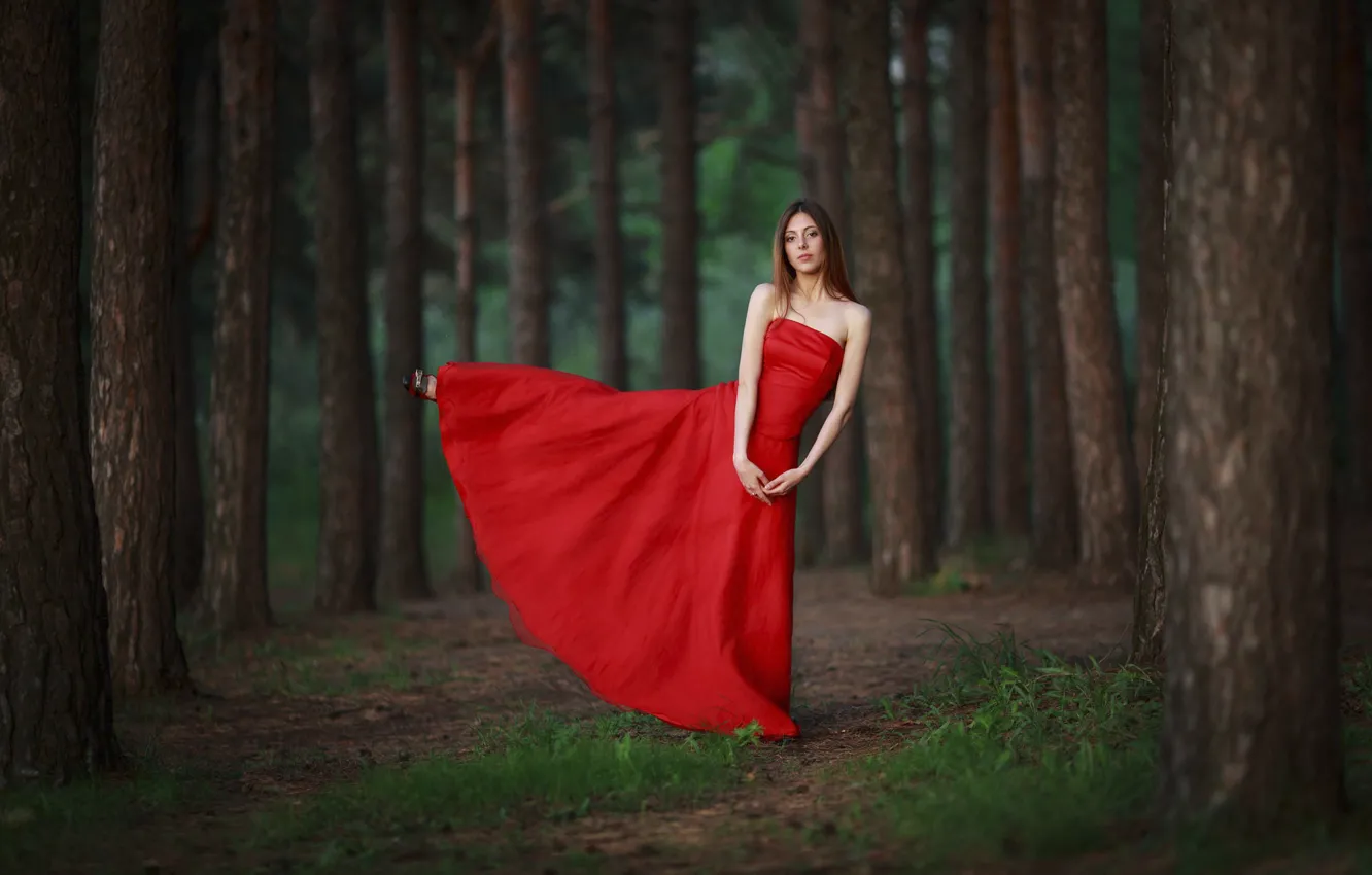 Photo wallpaper forest, girl, grace, red dress, balance