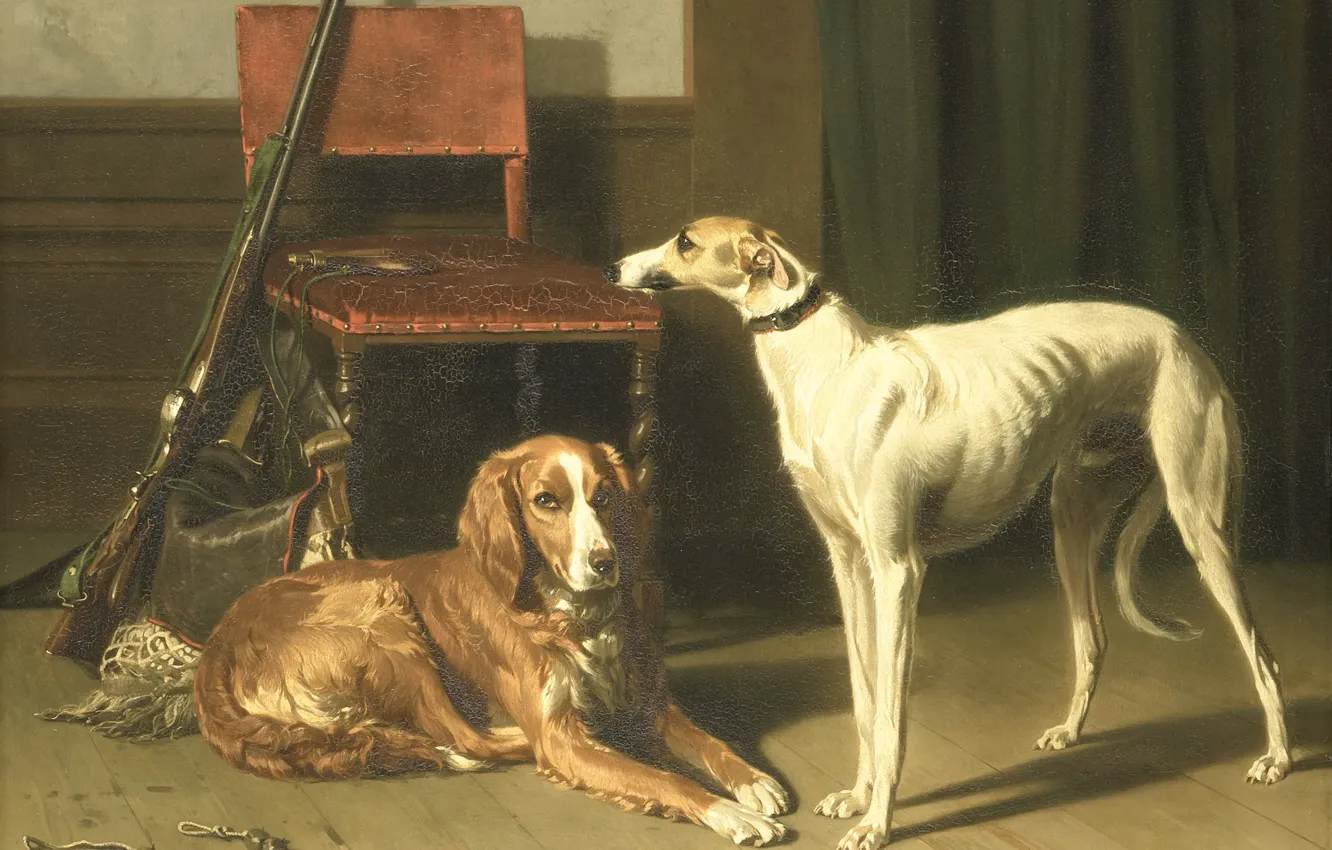 Photo wallpaper dog, picture, Conradyn Cunaeus, Companions of the Hunt