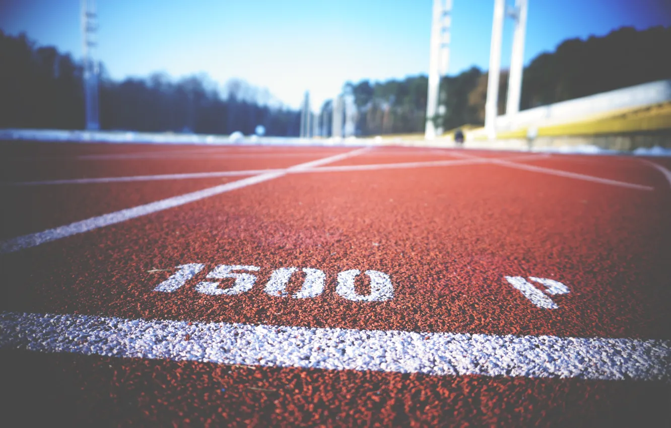 Photo wallpaper the city, markup, track, stadium, cross country