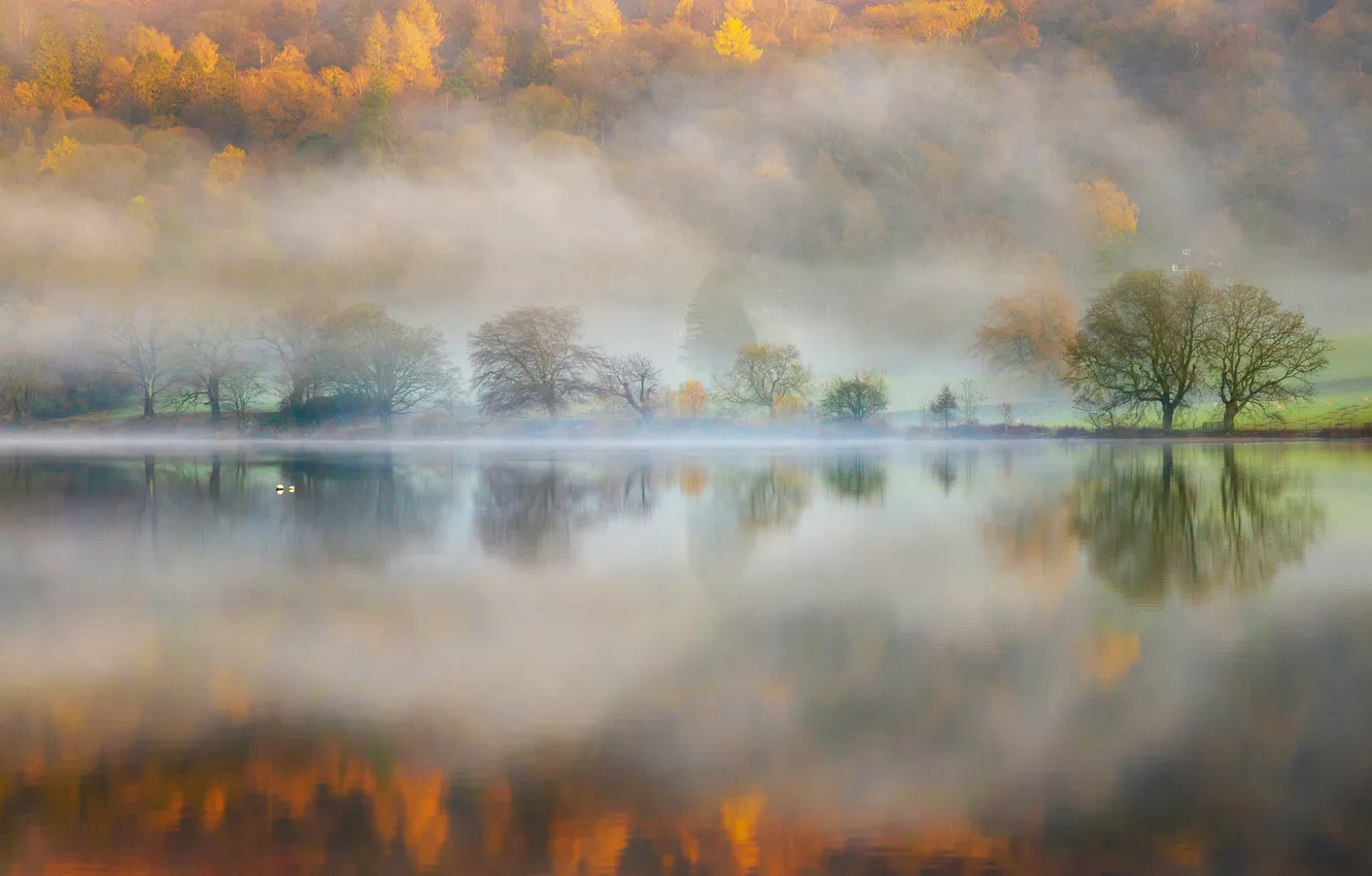 Photo wallpaper forest, mountains, fog, lake