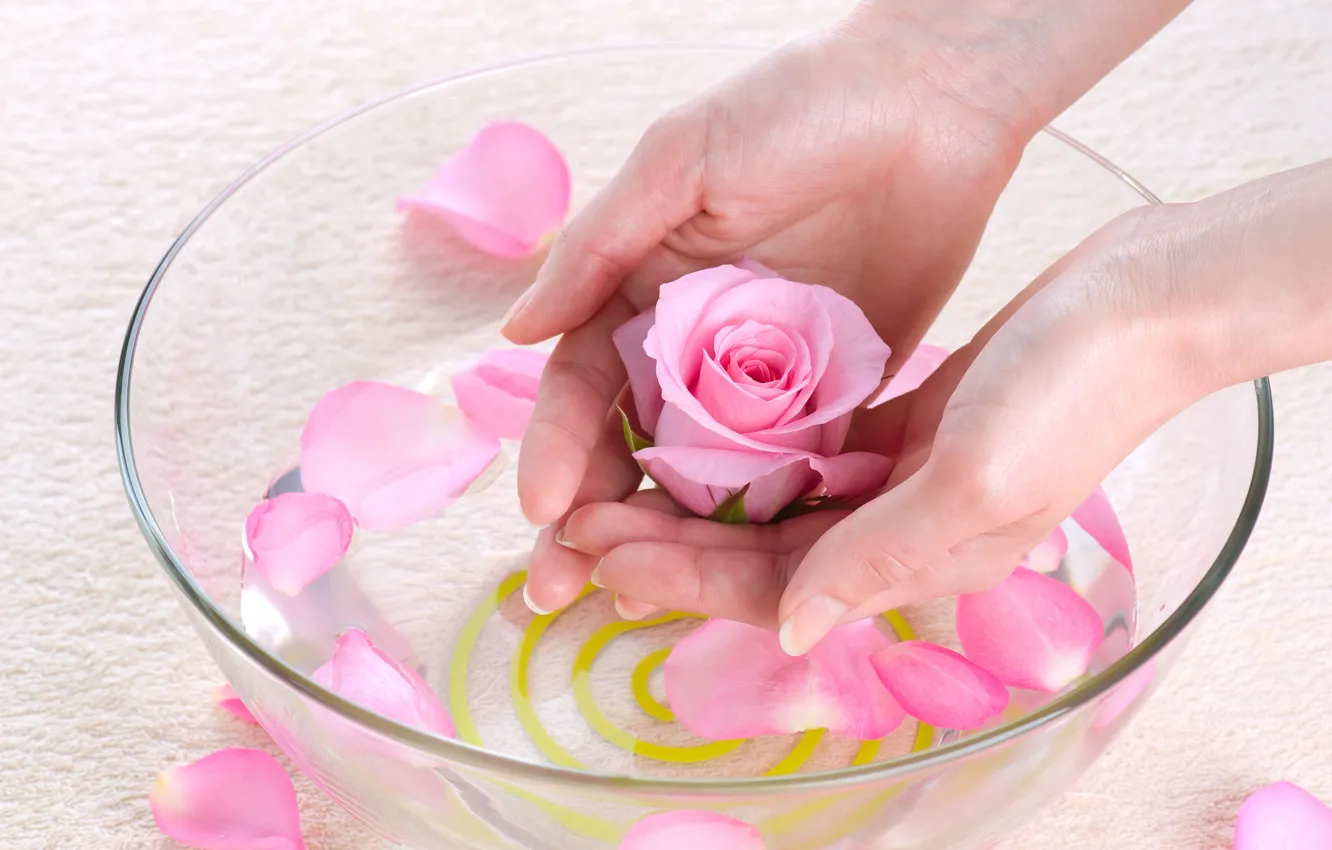 Photo wallpaper water, roses, hands, petals, bowl