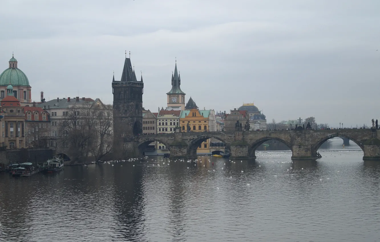 Photo wallpaper river, tower, Prague, Czech Republic, Vltava, Charles bridge