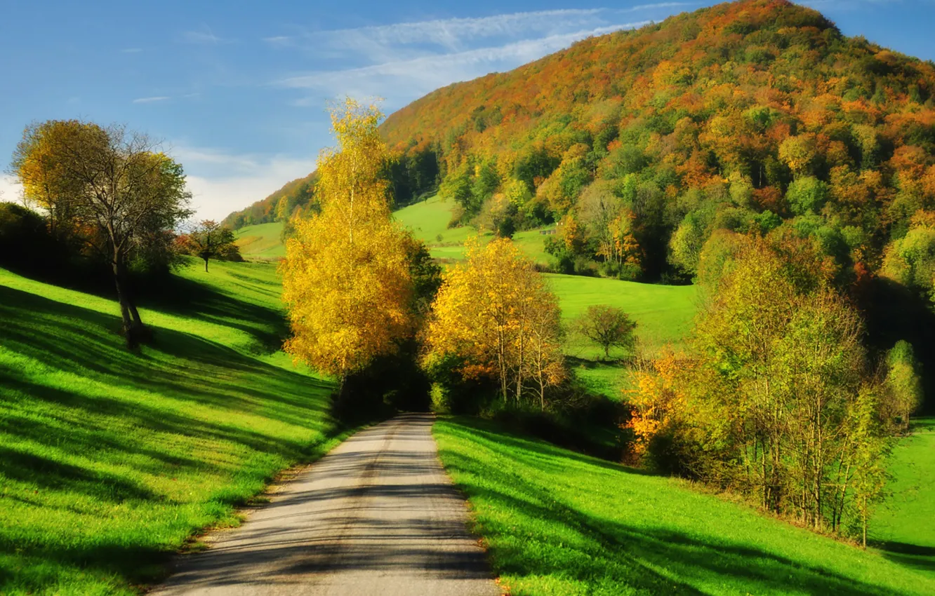 Photo wallpaper green, road, trees, autumn, hill, shadows, sunlight