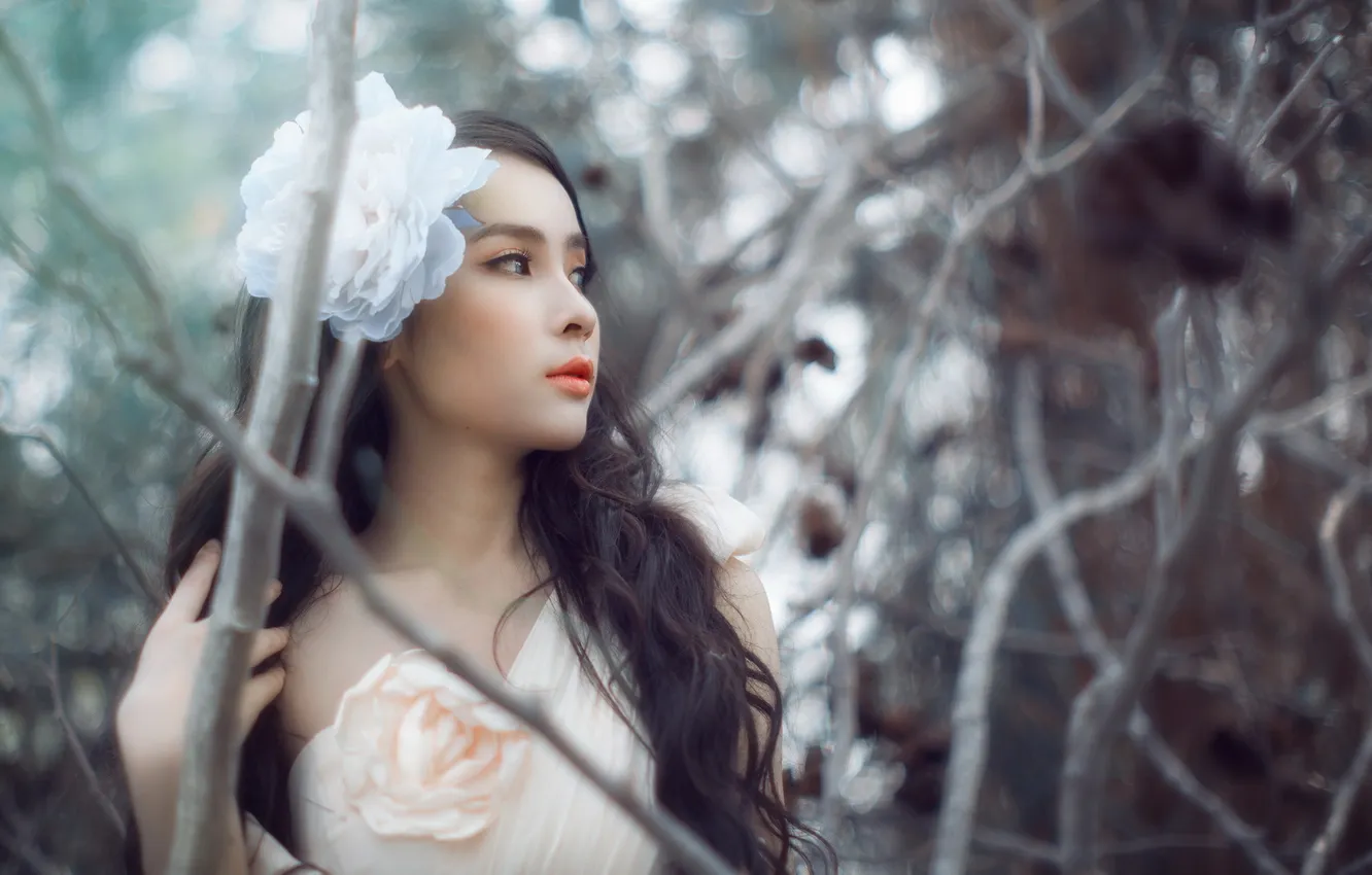 Photo wallpaper girl, Asian, Brand,