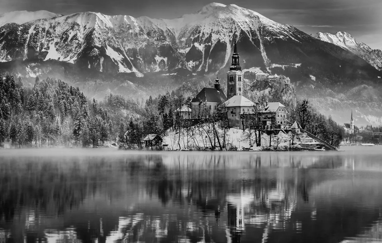 Photo wallpaper winter, forest, snow, mountains, lake, reflection, island, morning