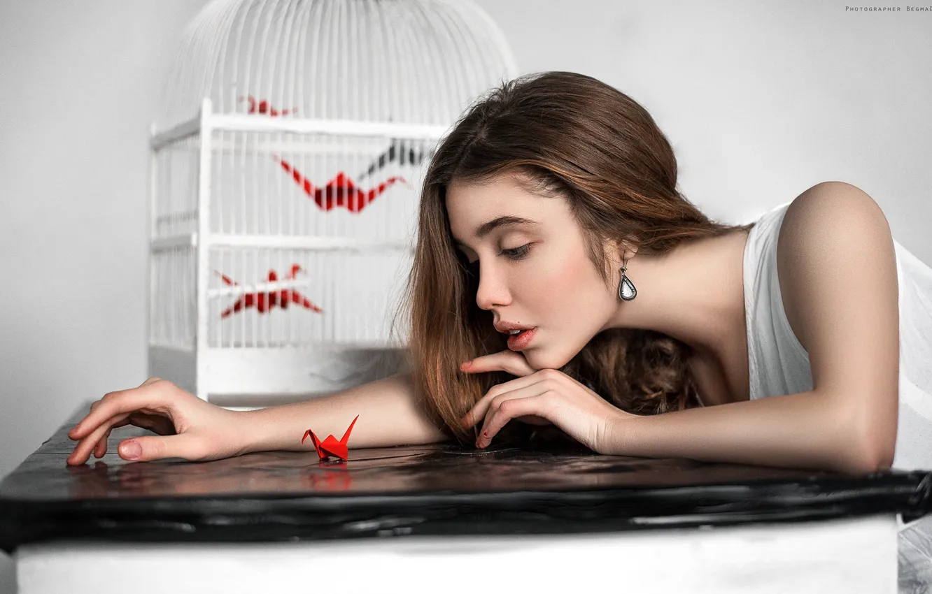 Photo wallpaper look, girl, pose, table, cell, origami, Dima Begma