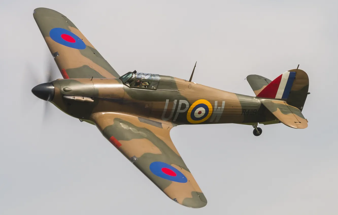 Photo wallpaper fighter, British, Hurricane, single