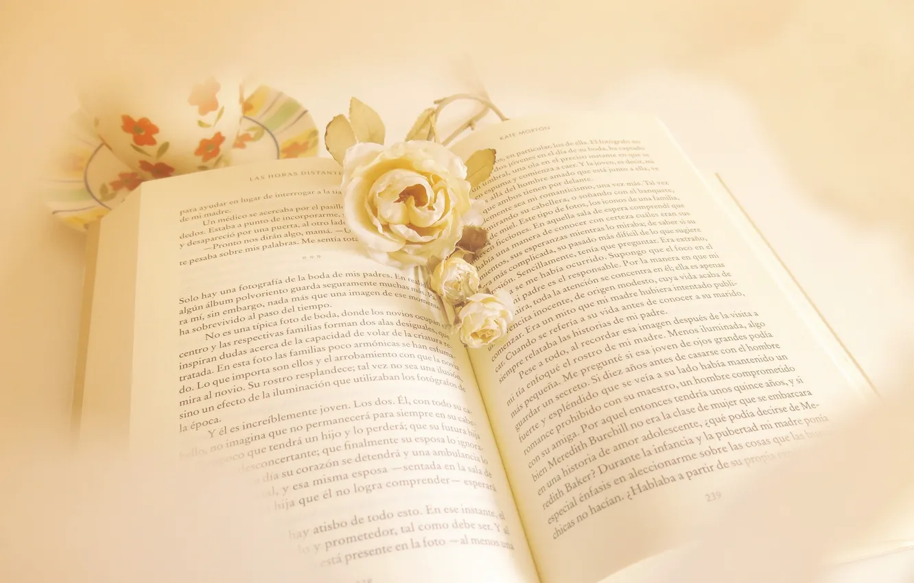 Photo wallpaper flowers, style, book