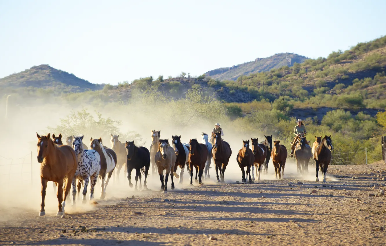 Photo wallpaper nature, horses, running, cowboys, corral, the herd, Canon 60D, corral