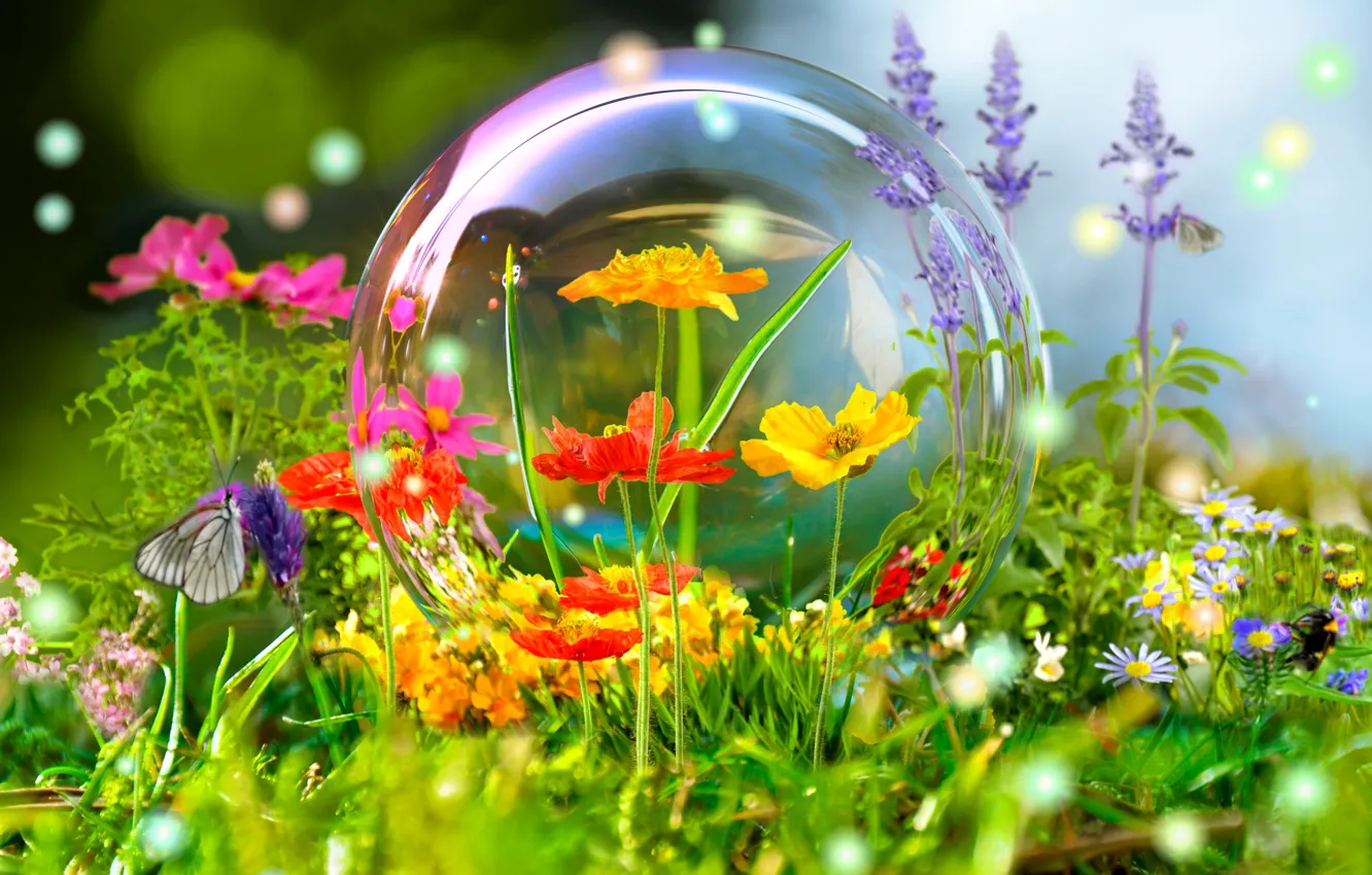 Photo wallpaper flowers, nature, reflection, butterfly, ball, meadow, bubble