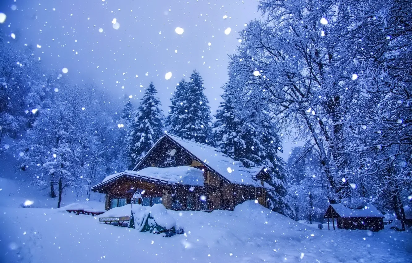 Photo wallpaper winter, winter, Falling Snow, Falling Snow, Snowy night, Snowy Night