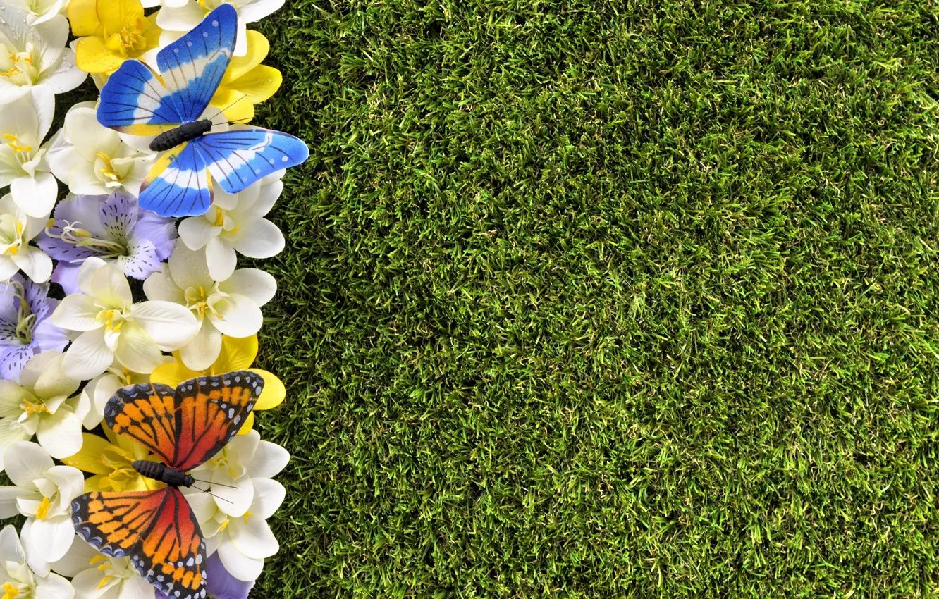 Photo wallpaper flowers, flowers, spring, weed, grass, lawn, spring, butterfly