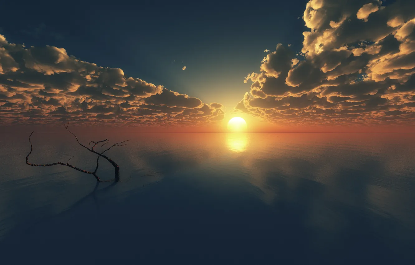 Photo wallpaper sea, clouds, sunset, surface, tree, branch, horizon, art