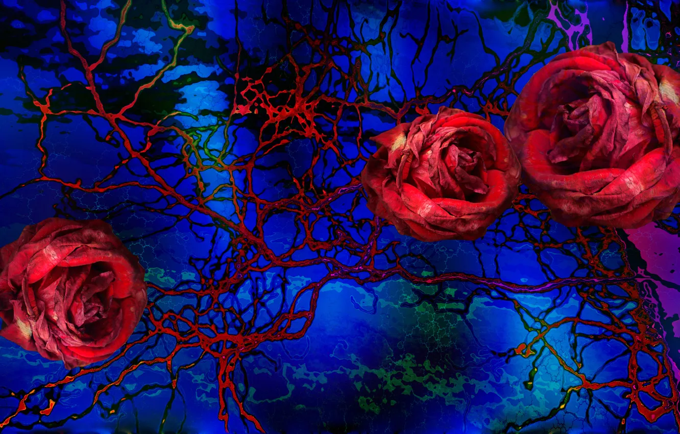 Photo wallpaper line, flowers, background, paint, roses