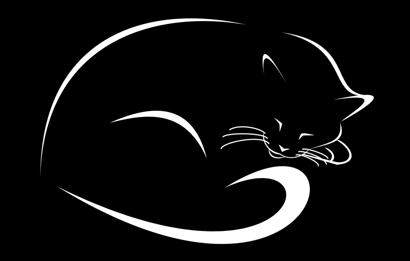 Photo wallpaper cat, figure, black background