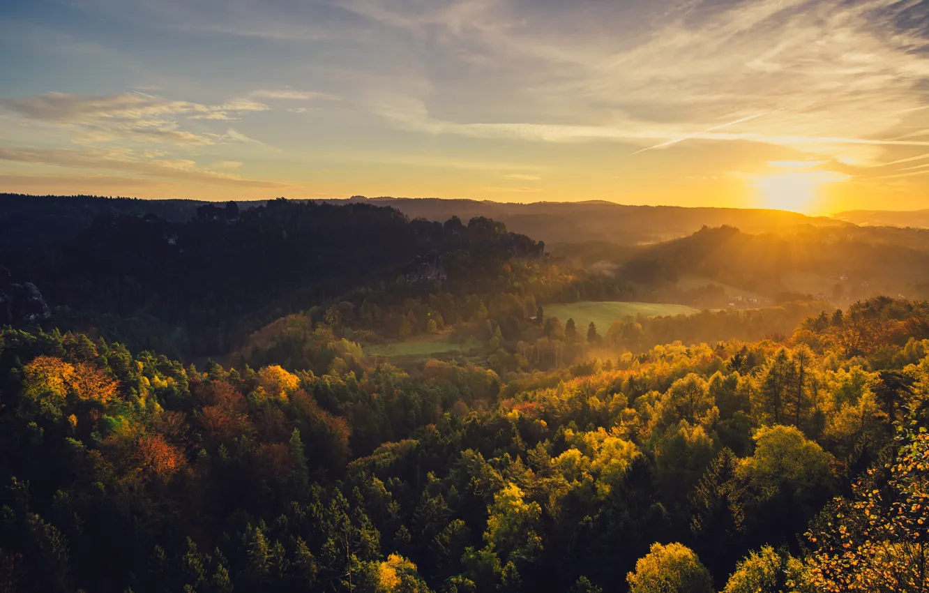 Photo wallpaper forest, sunset, height, Germany, Elbe Sandstone mountains