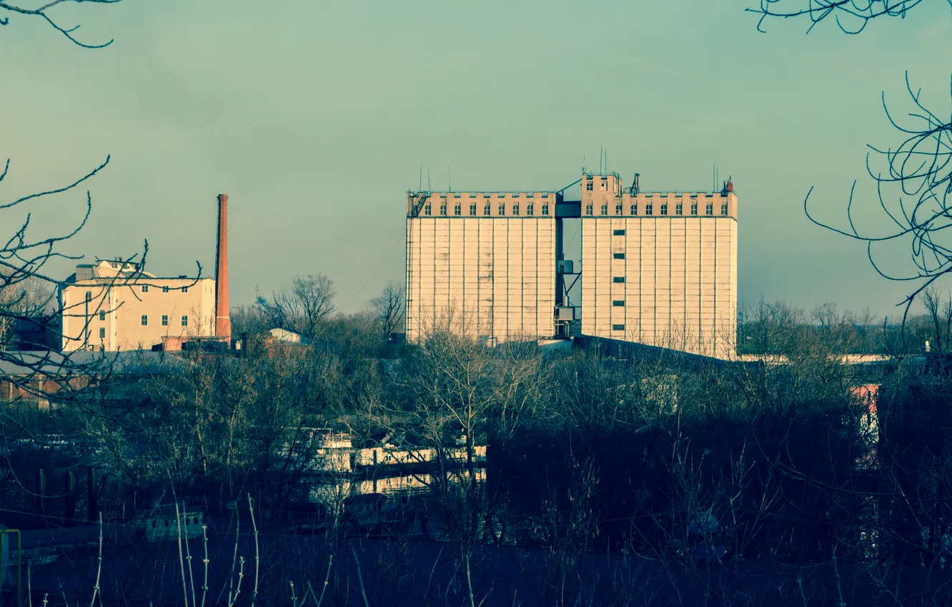 Photo wallpaper the sky, trees, plant, building, the evening, Russia, architecture, Stan