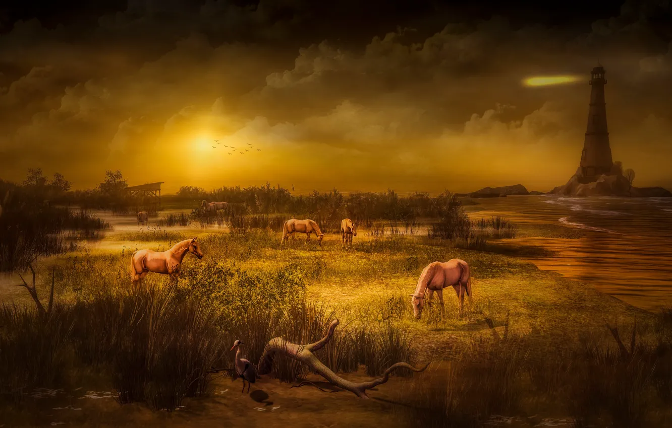 Photo wallpaper sea, the sky, grass, the sun, clouds, light, landscape, sunset