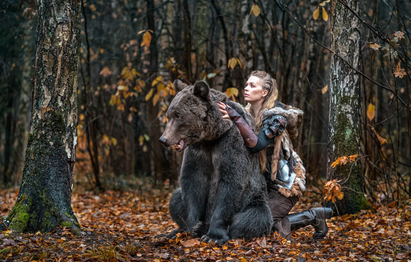 Photo wallpaper forest, girl, nature, animal, predator, bear, beast, Ross McGree