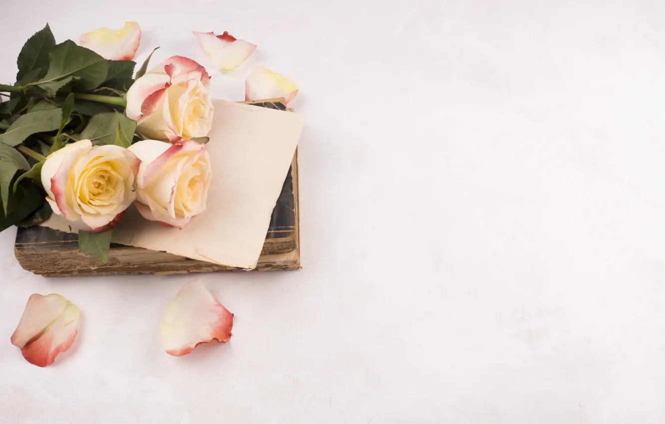Photo wallpaper roses, bouquet, book