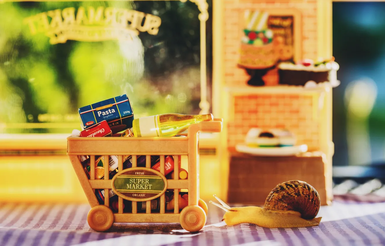 Photo wallpaper macro, box, basket, bottle, food, snail, window, truck