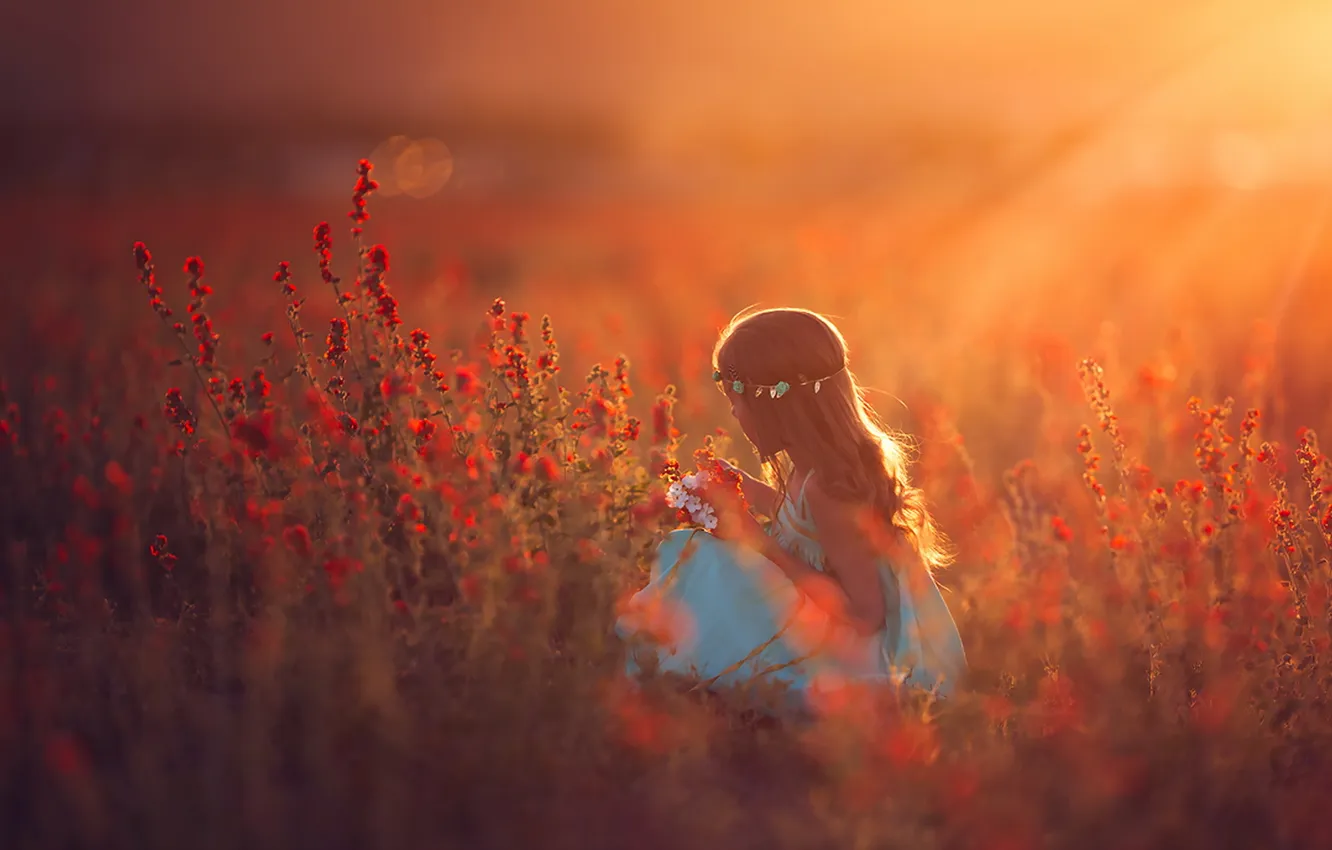 Photo wallpaper nature, morning, girl