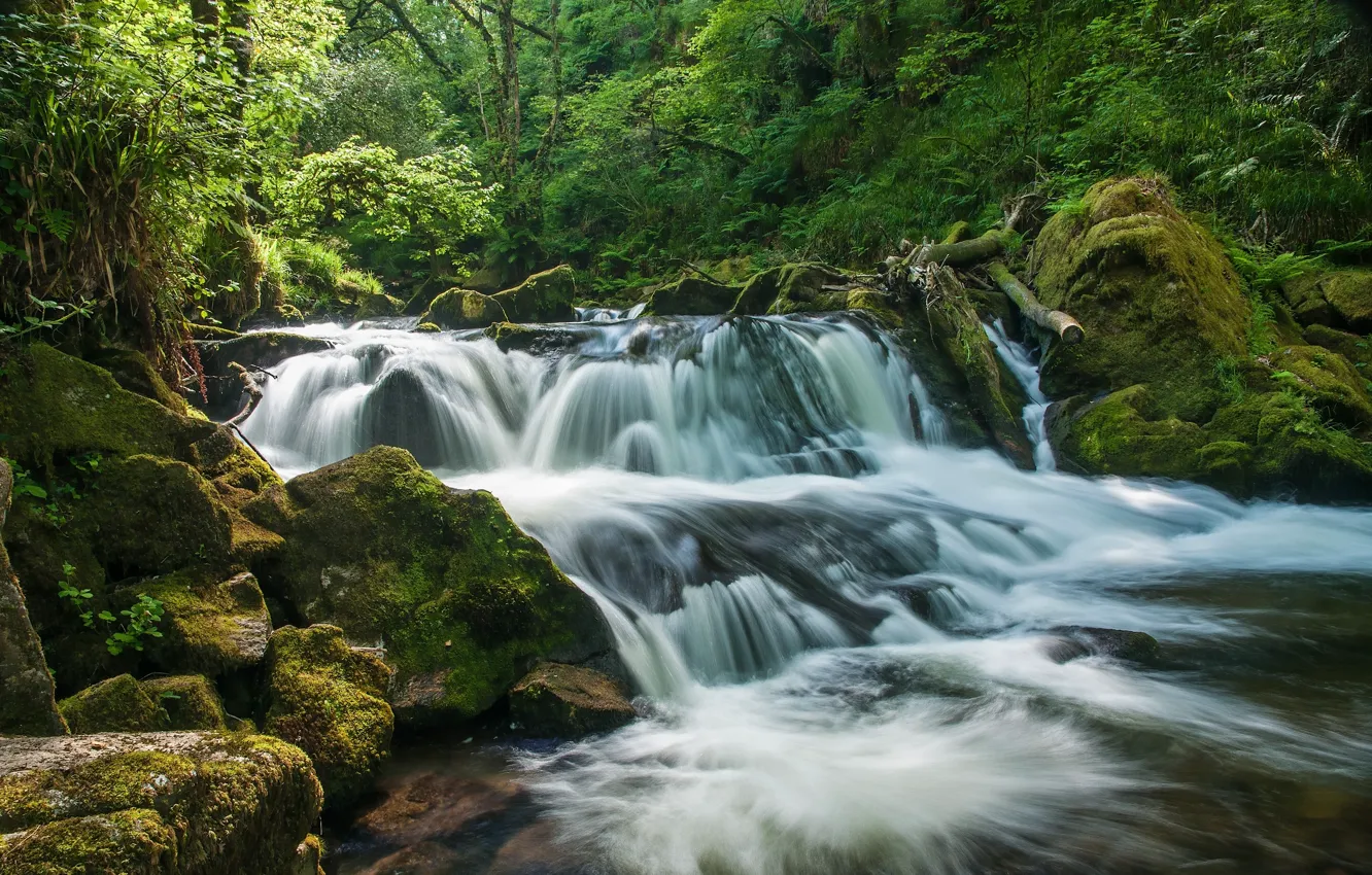 Photo wallpaper forest, river, England, waterfall, cascade, England, Cornwall, Cornwall