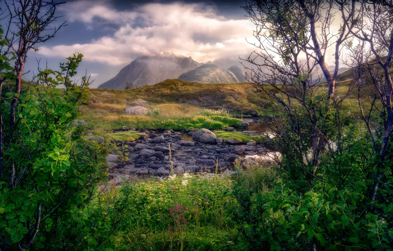 Photo wallpaper the sky, mountains, nature